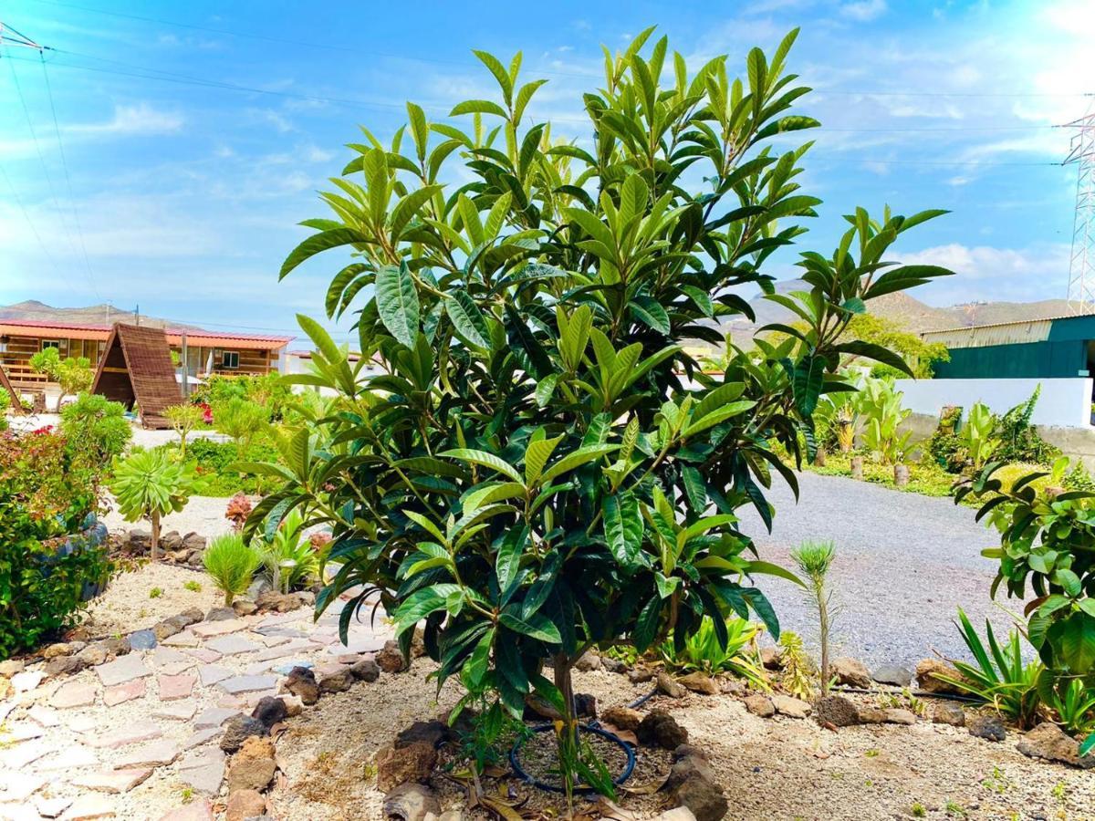 Macaronesia Love Spa, Sauna Y Piscina Buzanada Екстер'єр фото